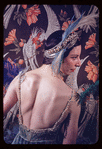 Alicia Markova in "The Bluebird Variation"