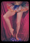 Markova's legs in "Firebird"