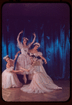 Alicia Markova (Taglioni), Mia Slavenska (Grisi), Nathalie Krassovska (Grahn), and Alexandra Danilova (Cerrito) in "Pas de Quatre"