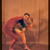 Paul Taylor in "The Least Fly-catcher"