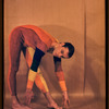 Paul Taylor in "The Least Fly-catcher"