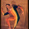 Paul Taylor in "The Least Fly-catcher"