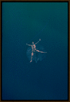 Paul Taylor in Martha Graham's "Alcestis"