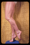 Legs of Anton Dolin