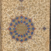 Shams (right)