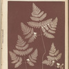 The Mirror of literature, amusement, and instruction, Saturday, April 20, 1839