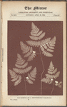 The Mirror of literature, amusement, and instruction, Saturday, April 20, 1839
