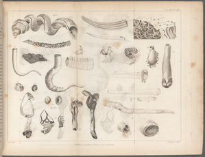 Quarterly journal of science, literature and art