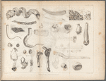 Plate III