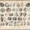 Plate III
