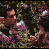 Hugh Laing and Annabelle Lyon in "Lilac Garden"