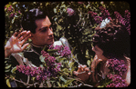 Hugh Laing and Annabelle Lyon in "Lilac Garden"