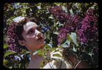 Annabelle Lyon in "Jardin aux Lilas"