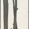 Color detail for trees for Clam Bake 2-1