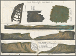 Color sketches for dune rows for Clam Bake 2-1