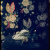 Frontispiece for "The Dying Swan"