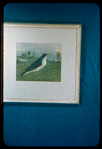 Frontpiece for "The Bluebird Variation"