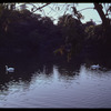Central Park