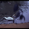 Zoological Gardens, Fairmont Park, Philadelphia