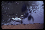 Zoological Gardens, Fairmont Park, Philadelphia