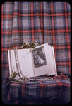 Frontispiece for "The Sylphide and the Scotsman"