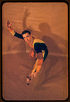 Paul Taylor in "The Least Fly-catcher"