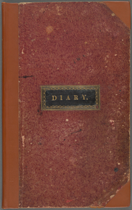 Prison Association of New York records