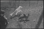 Ranch. Woodbourne, NY