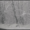 Ranch. Woodbourne, NY