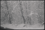 Ranch. Woodbourne, NY