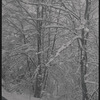 Ranch. Woodbourne, NY