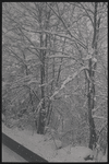 Ranch. Woodbourne, NY