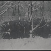 Ranch. Woodbourne, NY