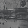 Pigeons. New York, NY