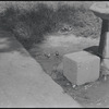 Water fountain and birds. New York, NY
