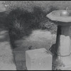 Water fountain and bird. New York, NY