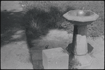 Water fountain and bird. New York, NY