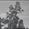 Native American performance