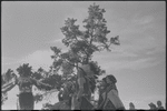 Native American performance