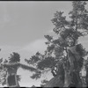 Native American performance