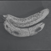 Bananas
