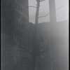 New York, NY