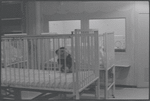 SS Hope hospital ship