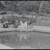 Children at reflecting pool