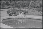 Children at reflecting pool