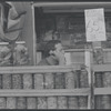 Pickle vendor. New York, NY