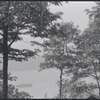 [Fort Tryon Park?] New York, NY