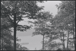 [Fort Tryon Park?] New York, NY