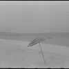 Beach umbrella