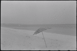 Beach umbrella